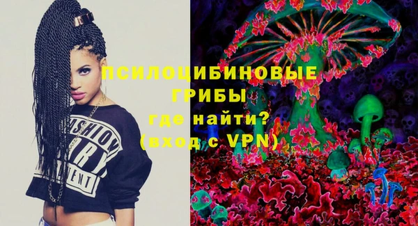 PSILOCYBIN Покачи