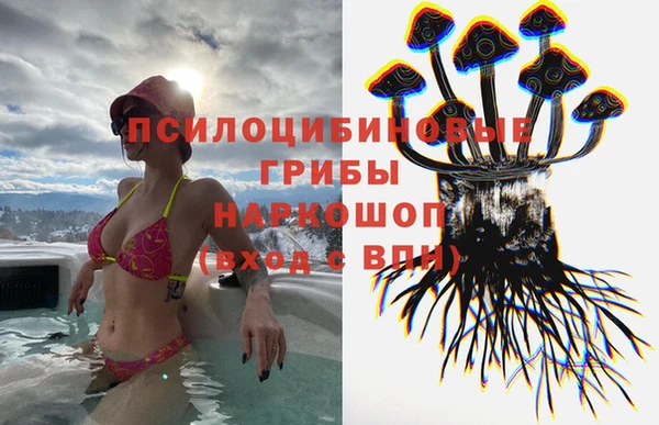 стаф Пересвет