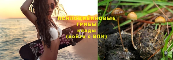 крисы Покров