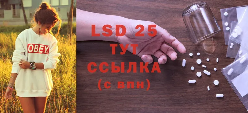 LSD-25 экстази кислота  как найти закладки  блэк спрут сайт  Богородицк 