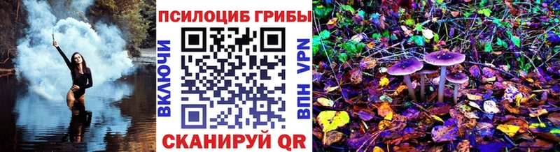 Псилоцибиновые грибы мухоморы  купить  цена  Богородицк 