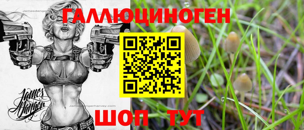 Круглые  Каннабис  Codein  Канабис  Богородицк  МЕФ  КОКАИН  Вход с VPN 